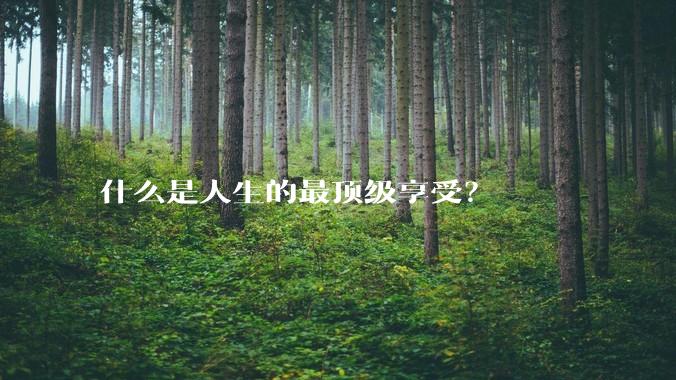 什么是人生的最顶级享受？