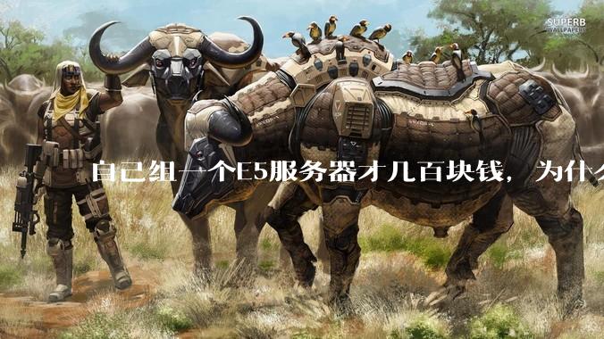 自己组一个E5服务器才几百块钱，为什么去阿里云租这么贵?