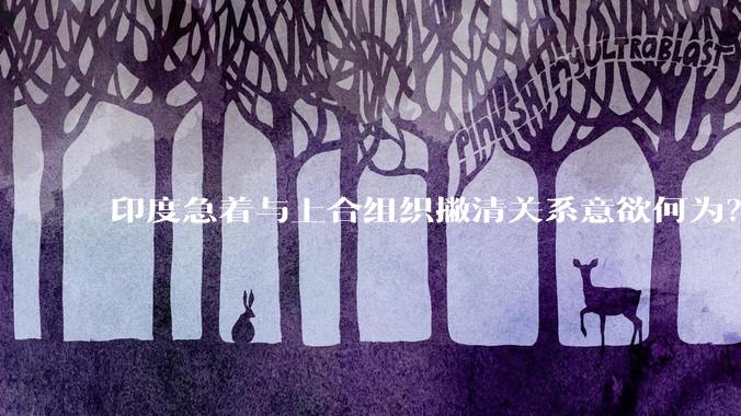 印度急着与上合组织撇清关系意欲何为？